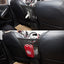 Organizador de Bolsa de Red de Almacenamiento para Automóvil Premium para Respaldo de Asiento y Male