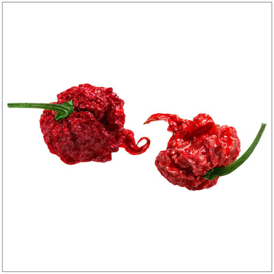 Carolina Reaper Pepper - The World's Hottest Chili