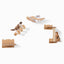 Premium Cat Wall Furniture Set with Hammock & Perch