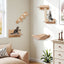 Premium Cat Wall Furniture Set with Hammock & Perch