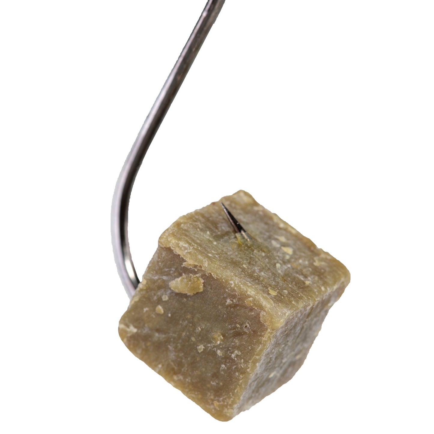 Premium Catalpa Worm Catfish Bait for Ultimate Fishing Success - Korvel