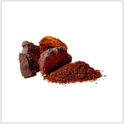 Premium Chaga Mushroom Powder Tea