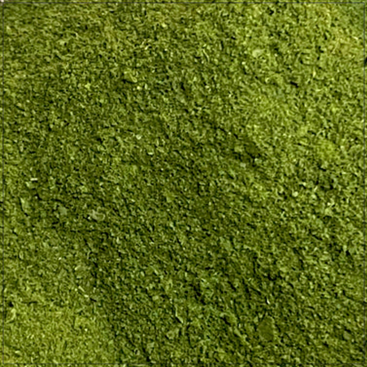 Poudre de chlorophylle premium pour usage culinaire