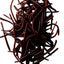 Premium Custom Trout Worms for Fishing