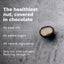 Chocolate Dipped Macadamia Nuts - 12 Bags