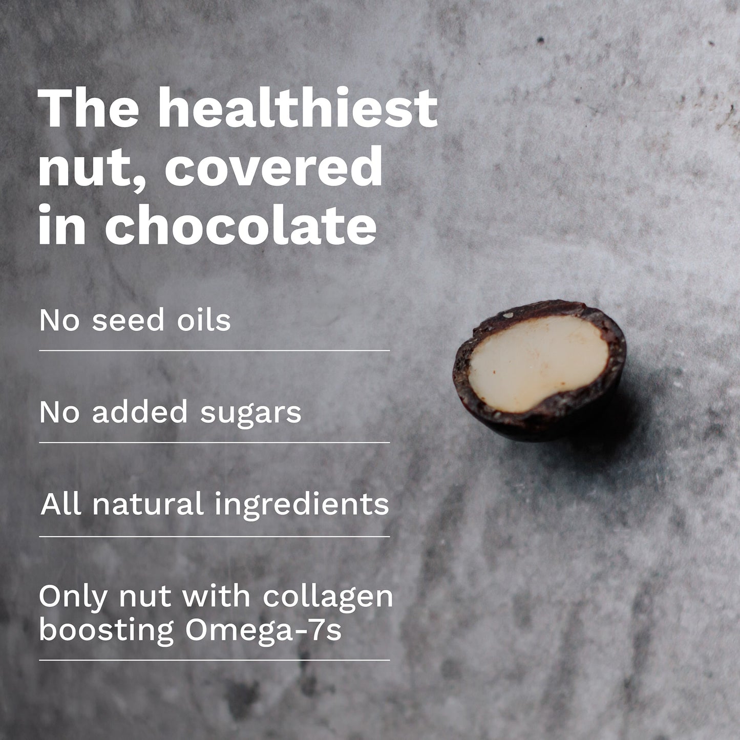 Chocolate Dipped Macadamia Nuts - 12 Bags
