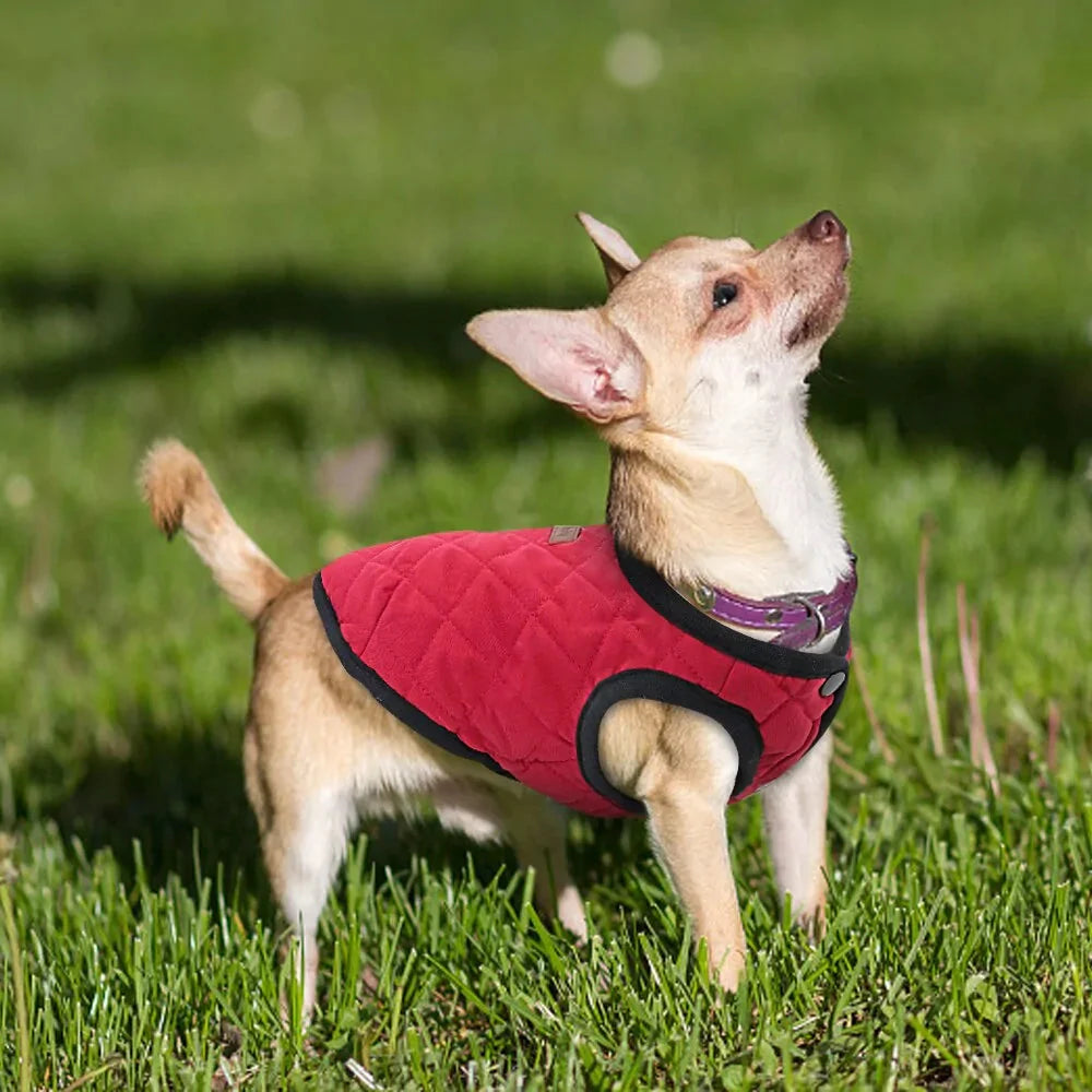 Premium Dog Winter Jacket for Ultimate Comfort