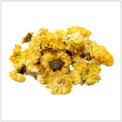 Premium Chrysanthemum Tea Infusion