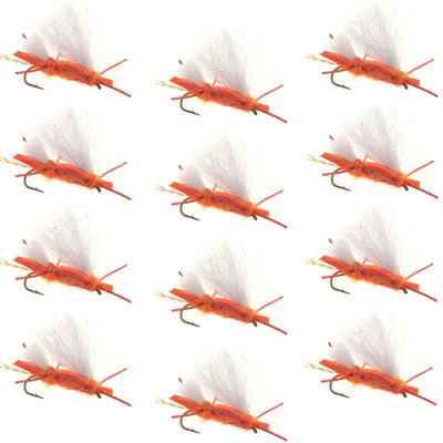 Chubby Chernobyl Ant Orange Foam Grasshopper Flies - 12 Pack Size 10 - Korvel
