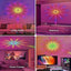 Clap Nova Fireworks - Korvel