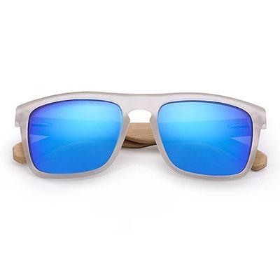 Classic Retro Polarized Sunglasses for Men