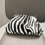 Zebra Pattern Crossbody Shoulder Bag