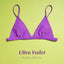 Colorful Classic Bikini Set for Women
