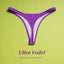 Colorful Classic Bikini Set for Women