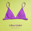 Colorful Classic Bikini Set for Women