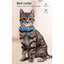 Colorful Adjustable Nylon Pet Collar with Stylish Print