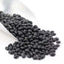 Premium Black Turtle Beans - Versatile & Nutritious