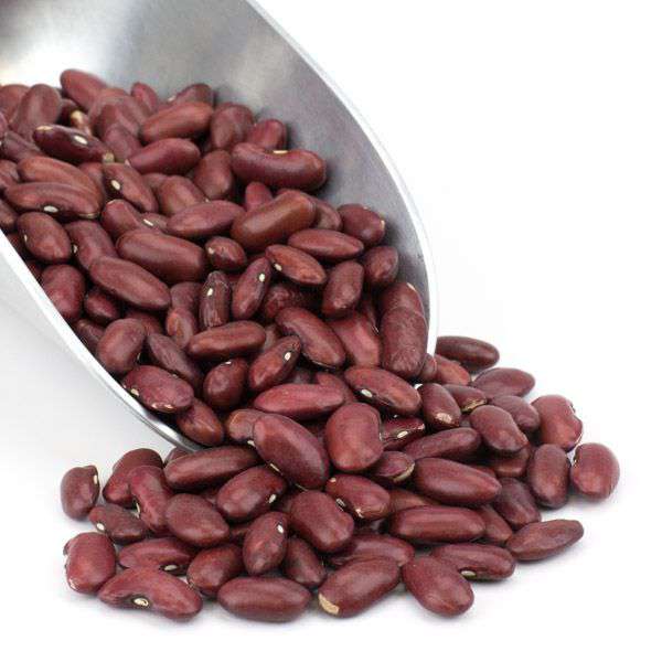 Premium Dark Red Kidney Beans - Versatile & Nutritious - Korvel