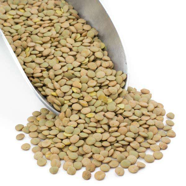 Lentilles Vertes Premium - Légumineuses Nutritives et Polyvalentes