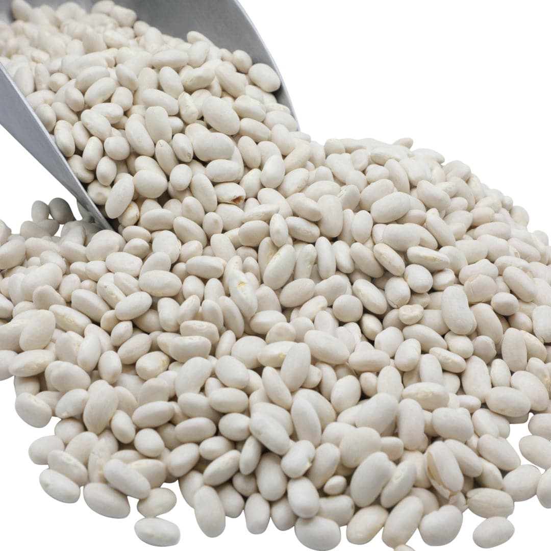 Frijoles orgánicos del norte - Legumbres de primera calidad