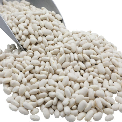 Organic Great Northern Beans - Premium Quality Legumes