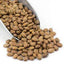 Frijoles Pinto Premium - Versátiles y Nutritivos