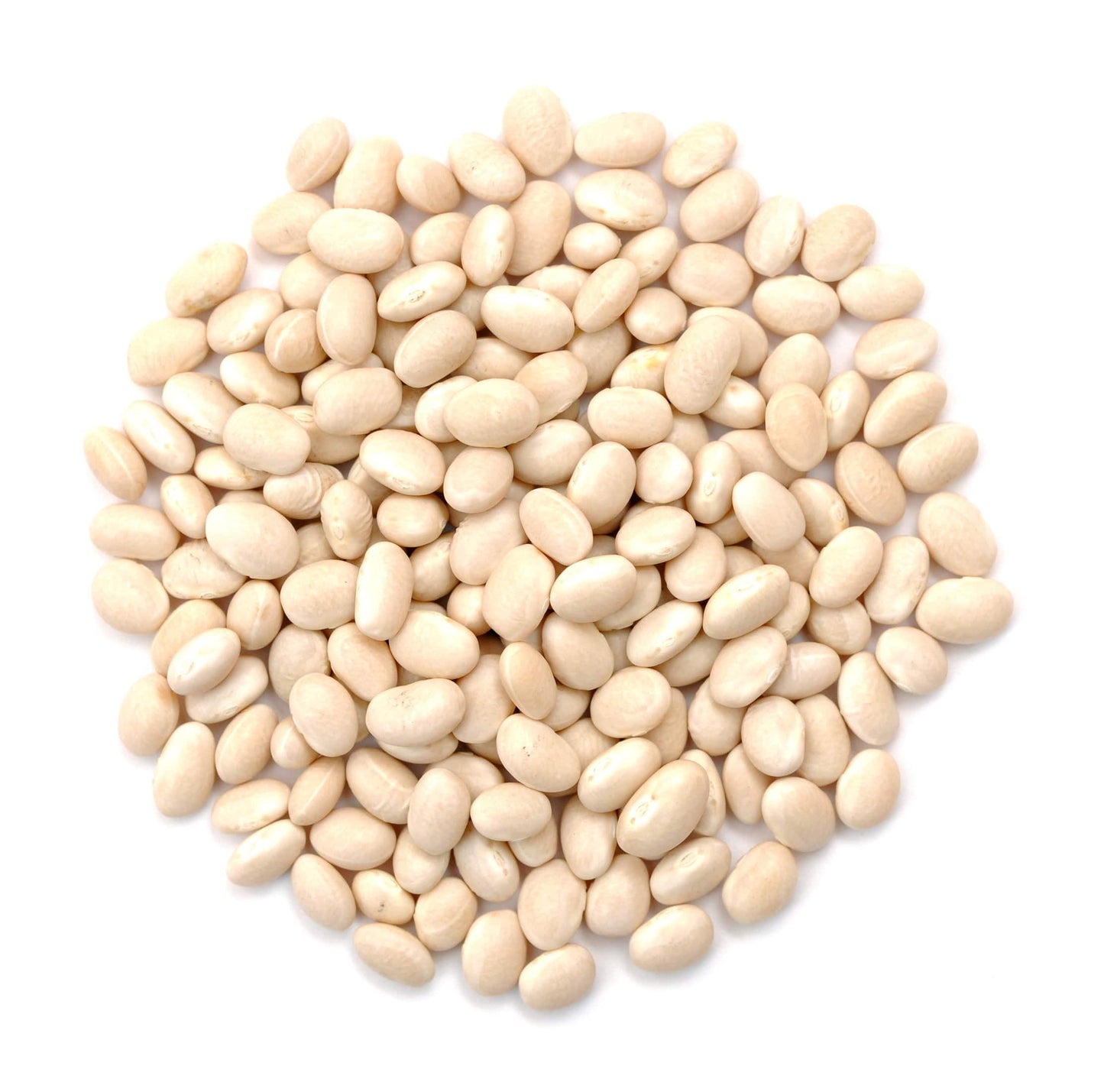 Organic Navy Beans - Premium Quality Legumes