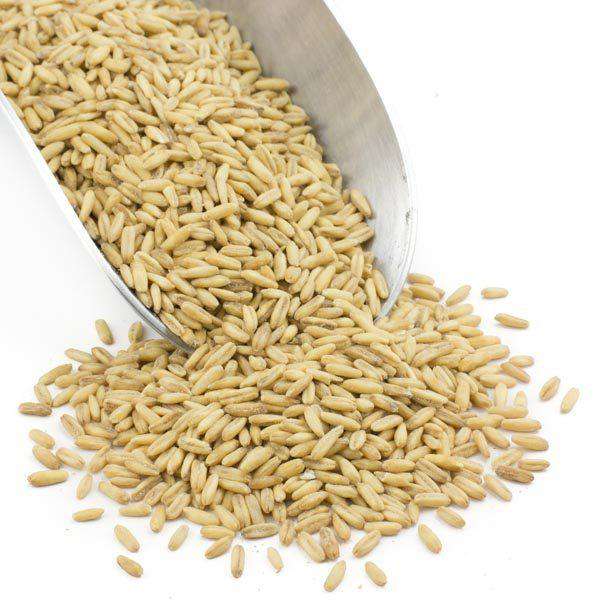 Avena Entera Premium - Nutritiva y Sustanciosa