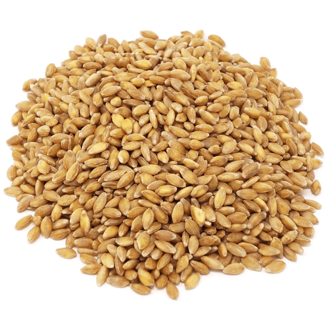 Organic Einkorn Berries – Ancient Grain Whole Berries (1 lb, 5 lb, 25 lb)