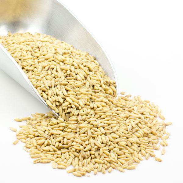 Gruau d'avoine complet biologique - Nutritif et polyvalent