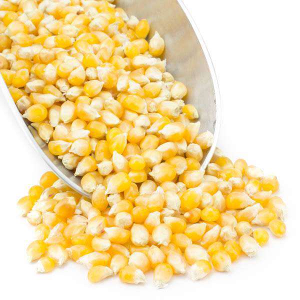 Granos de Palomitas de Maíz Amarillo Orgánico