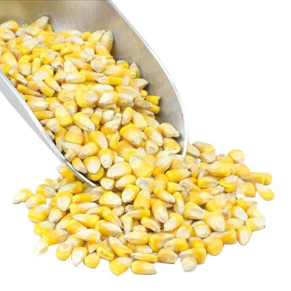 Organic Whole Yellow Corn - Premium Quality