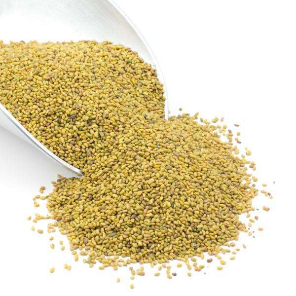 Semillas de Alfalfa Orgánicas para Germinar