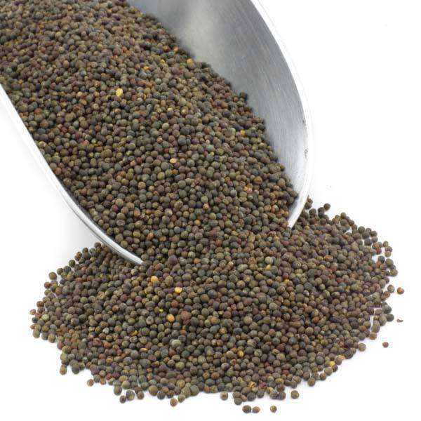 Graines de Brocoli Biologiques pour Germination