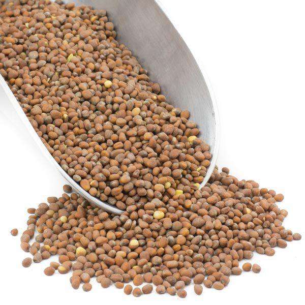 Premium Organic Radish Seeds for Gourmet Sprouts - Korvel