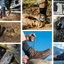 Calcetines de Crew Huecos - 3 Colores