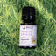 Premium Essential Oil Diffuser Blends - Unique Fragrance Creations - Korvel