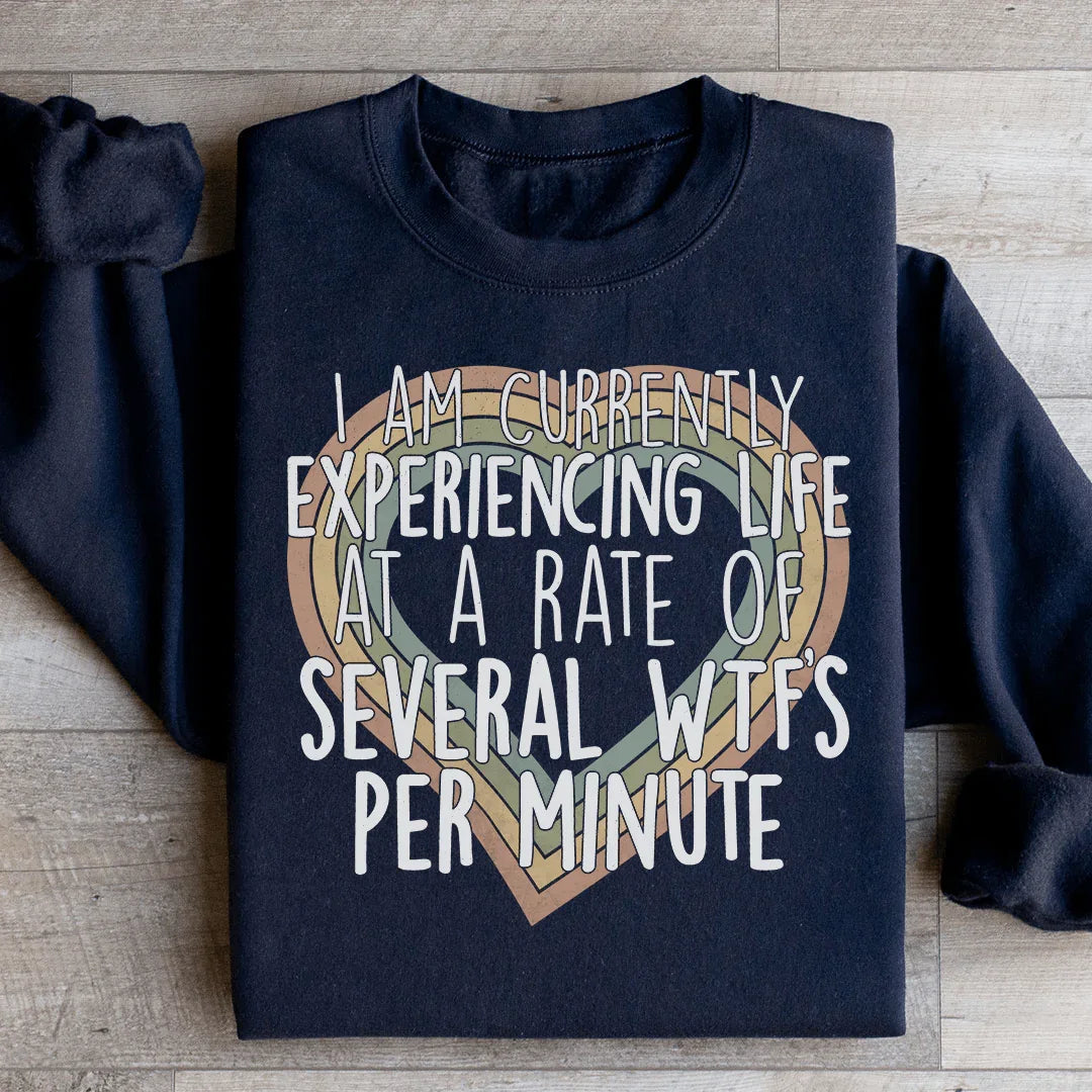 Sudadera "Actualmente experimentando la vida a un ritmo de varias WTF por minuto"