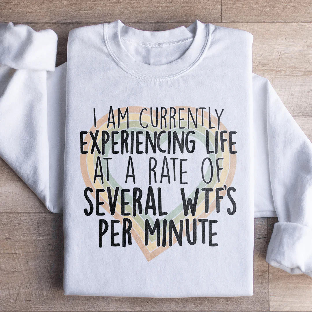 Sudadera "Actualmente experimentando la vida a un ritmo de varias WTF por minuto"