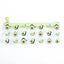 Estuche de Lápices con Diseño de Aguacate de Tema de Frutas Lindas