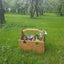 Folding Picnic Basket and Table