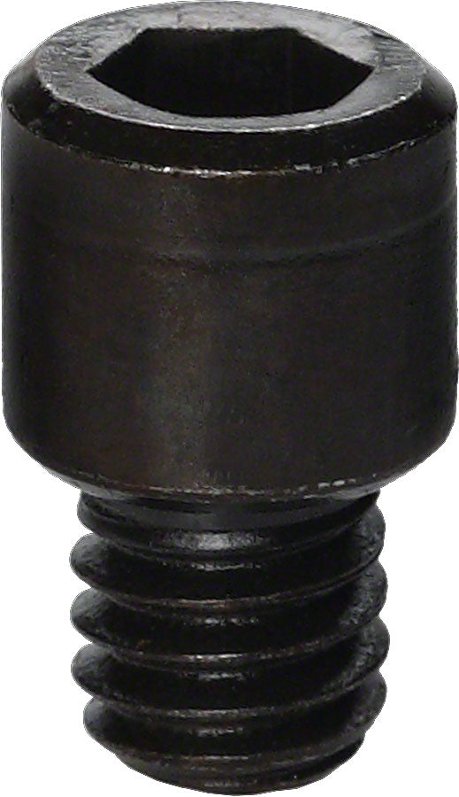 Tornillo de tapa Park Tool 116S para el soporte profesional 100-3C