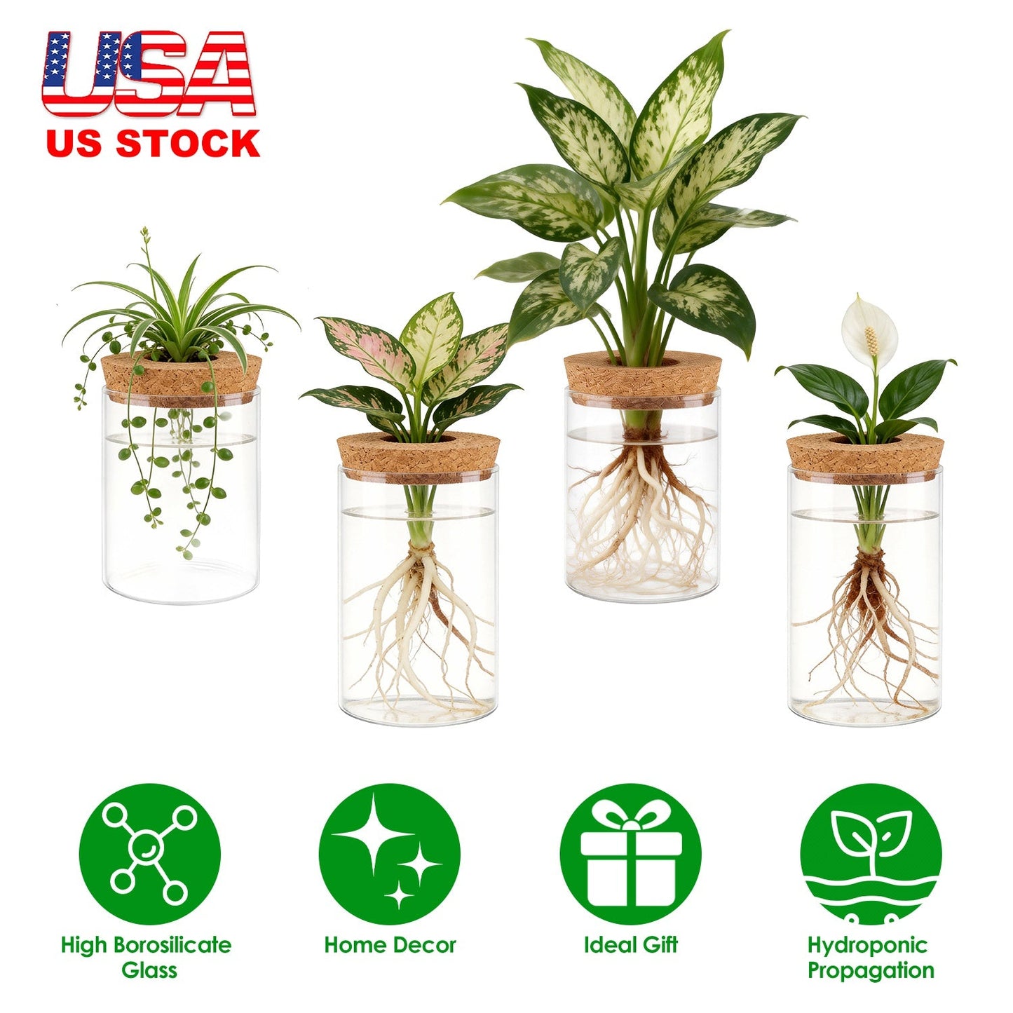 Ensemble de 4 stations de propagation en verre pour plantes d'intérieur