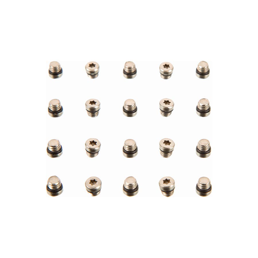 SRAM Lever Bleed Screw Set - 20 Pieces