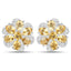 Conjunto de Joyería de Citrino de 7.92 Quilates y Topacio Blanco en Plata Esterlina