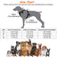 Harnais LED rechargeable pour chien - Gilet lumineux sans traction