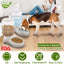 GBruno 3.5L Pet Water Dispenser