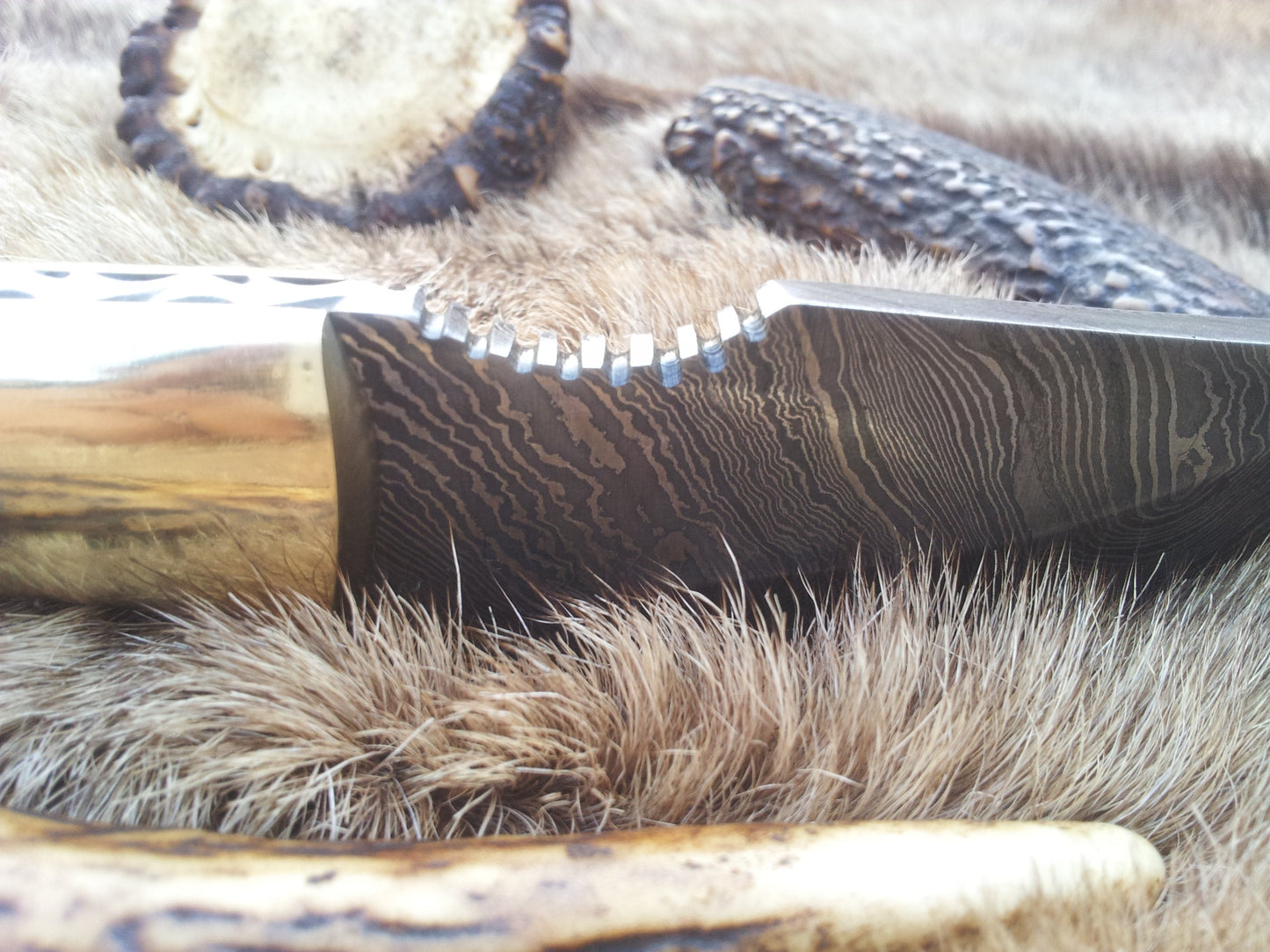 Premium Damascus Steel Hunting Knife – 7.25 Inch Drop Point Blade with Antler Handle and Brass Accents - Korvel