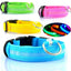 USB Rechargeable LED Dog Collar for Enhanced Visibility