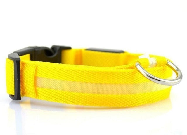 USB Rechargeable LED Dog Collar for Enhanced Visibility
